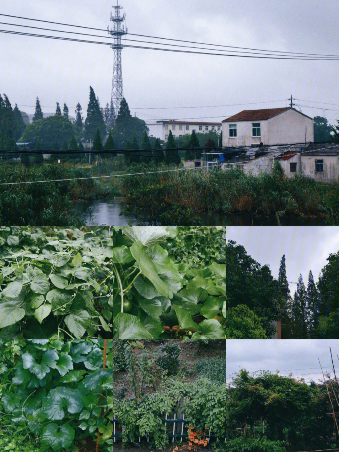 白色相簿游戏_白色相簿游戏_白色相簿游戏