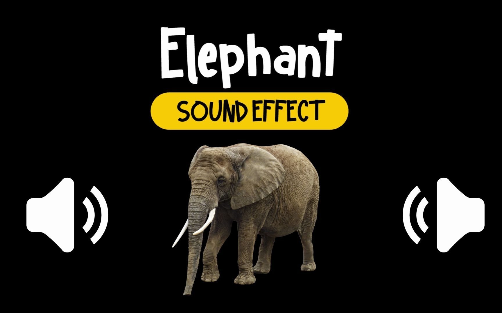 公狒狒游戏解说动物园模拟器_动物公园手机游戏_动物公园破解版