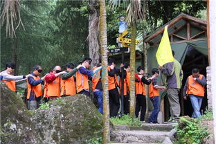 拓展游戏道路,团队协作的智慧之旅