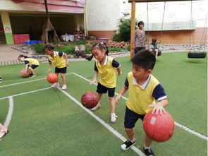 幼儿篮球游戏活动,健康成长之路