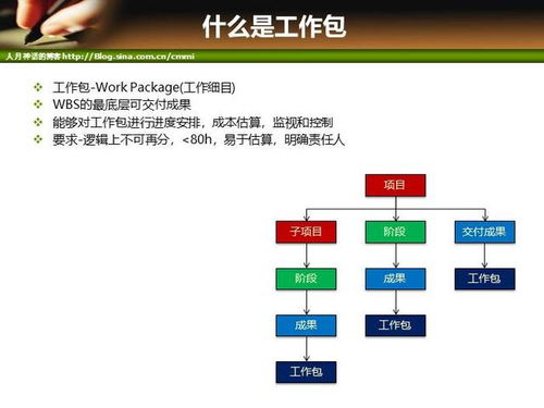 软件项目安全控制管理