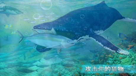 广州鲸鱼游戏,玩家好评如潮