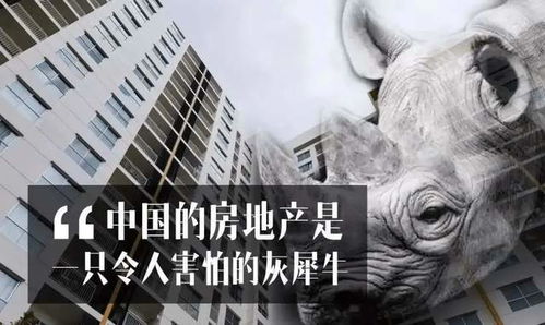 一反常态游戏规则,一反常态团队互动游戏体验”