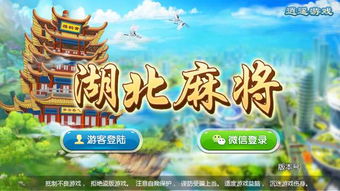 孝感游戏,传承与创新交织的地方特色娱乐之旅