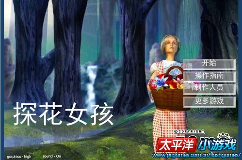 采花的游戏,采花游戏攻略与乐趣体验