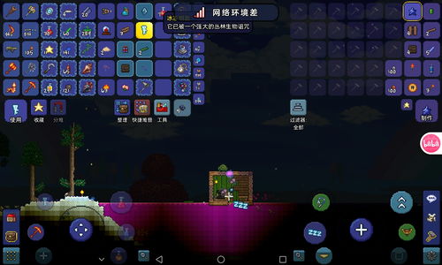 开坑游戏