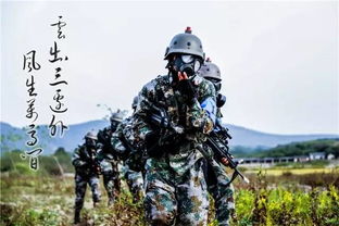 当兵的游戏,当兵游戏中的真实体验与挑战