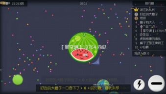 游戏里有球,探索无尽挑战与策略竞技的奇幻之旅