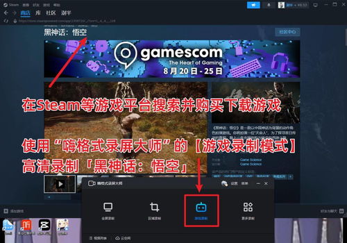 游戏录播,记录游戏人生