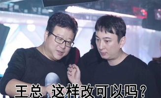 王思聪玩游戏,游戏世界中的豪情与策略