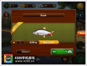 钓鱼在线游戏,体验真实水边乐趣