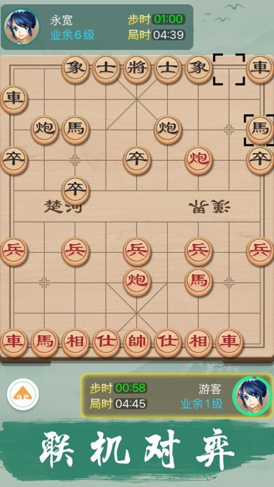 双人游戏象棋,传承千年的双人棋艺之旅