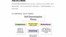 平均数游戏,数字背后的奥秘与策略