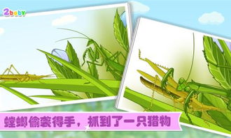 螳游戏,探索神秘昆虫世界的奇幻冒险之旅