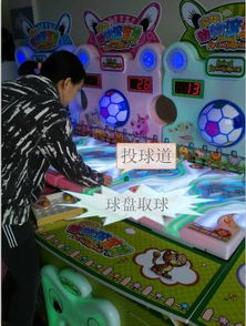 动物滚滚球游戏机,科技与乐趣的完美融合