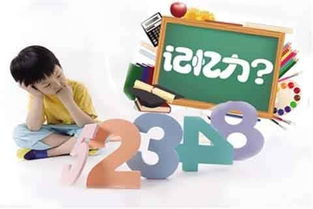 提高记忆力游戏,探索提升记忆力的亲子游戏之旅”