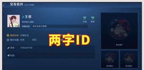 取游戏id,探索独特游戏ID的命名艺术
