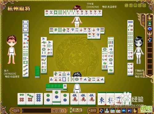 游戏杭州麻将,传承与创新并重的智慧博弈之旅