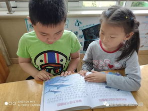 换牙游戏,幼儿园里的成长游戏之旅”