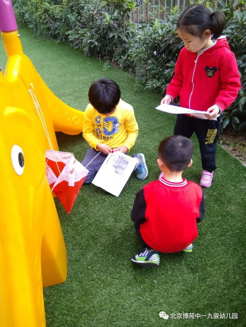 幼儿游戏寻宝,培养综合能力