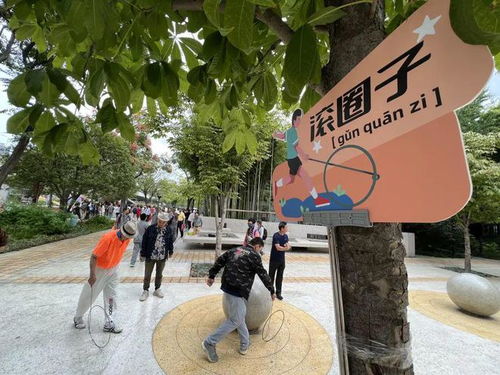 公园里的游戏,欢乐时光全景扫描