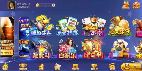 乐晟游戏厅,体验无限乐趣