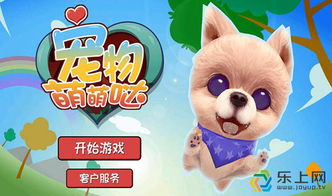 宠物游戏视频,欢乐时光里的宠物互动瞬间