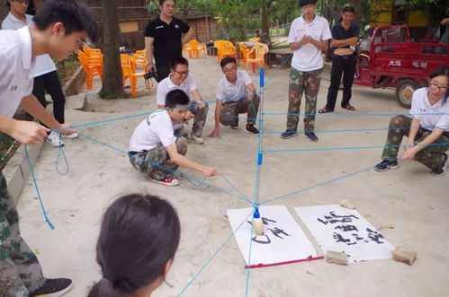 团队团结游戏,团结游戏体验记