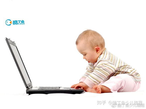 宝宝电脑游戏,寓教于乐的数字成长伴侣