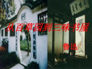 三味书屋的游戏,穿越时空的奇幻之旅