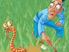 游戏王打草惊蛇,揭秘游戏王中的神秘策略对决