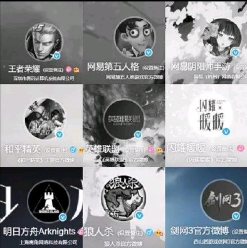 游戏娱乐哀悼,缅怀与回忆的交织