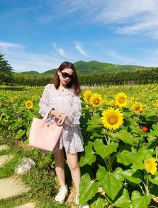 山花海游戏,解锁奇幻冒险之旅