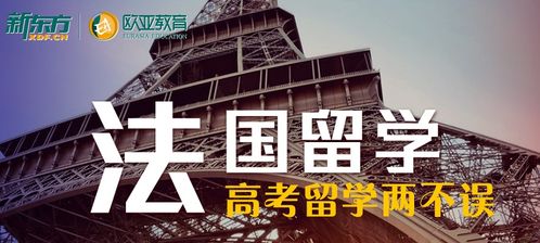 法国游戏留学,畅游虚拟世界