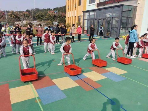 自主游戏推进,自主游戏中的成长与探索之旅