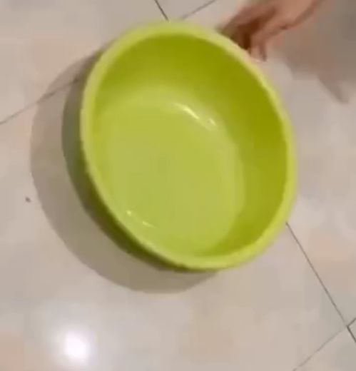 用脸盆游戏,趣味盎然的家庭娱乐新风尚