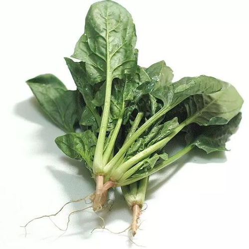 打游戏菠菜,揭秘游戏世界中的灰色地带