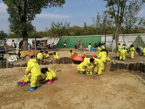 安吉游戏浙江,浙江幼儿教育创新实践之旅