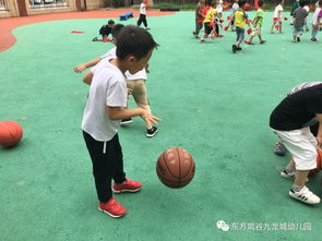 体育游戏热水,畅享竞技乐趣
