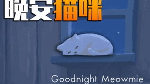 晚安猫咪游戏,一场温馨梦幻的睡前冒险之旅