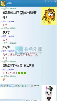 游戏流行短语,揭秘流行短语背后的游戏世界