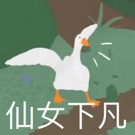 安抚游戏很卡,助你畅玩无忧