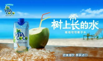 椰子水游戏,热带风情的冒险之旅