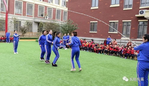 东英游戏,引领行业潮流的创新力量