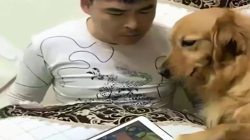 妞妞打游戏,从新手到高手的蜕变之旅