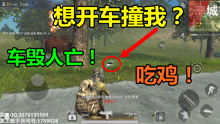 光辉游戏解说,深度解析游戏魅力与技巧