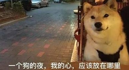 对象买游戏,根据个人对象挑选最适合的游戏体验