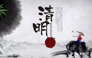 清明游戏禁,游戏禁令下的网络空间