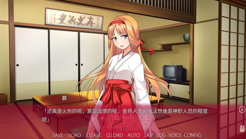 中国女装游戏,中国女装游戏魅力之旅
