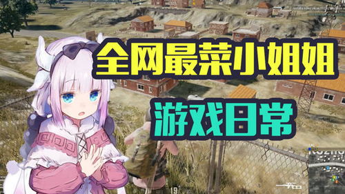 搞笑游戏姐,笑料横生的游戏世界之旅